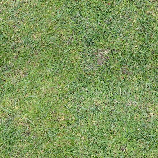 Seamless Grass