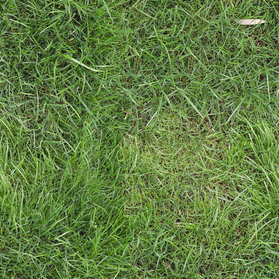 Seamless Grass