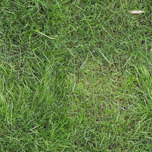 Seamless Grass