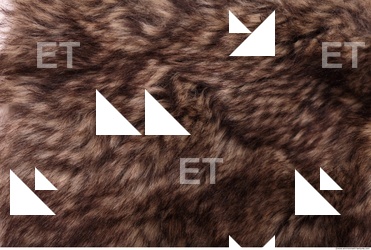 Fur