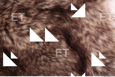 Fur