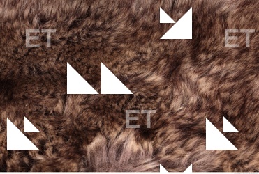 Fur