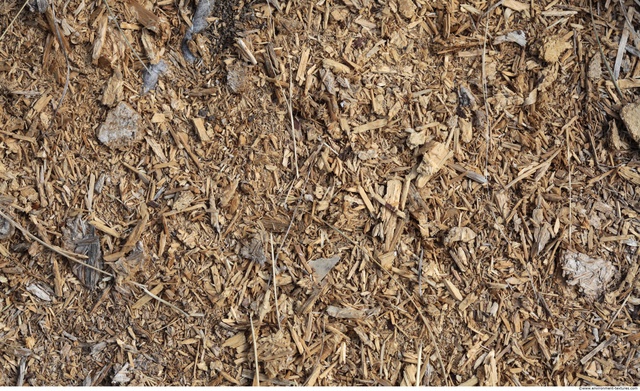 Wood Chips