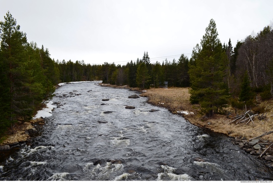 Background Forests