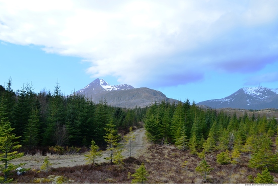 Background Forests