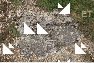 Cliffs Overgrown Rock