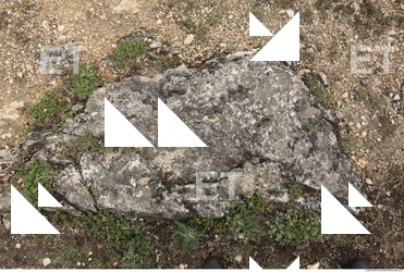 Cliffs Overgrown Rock