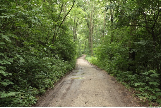 Background Forests