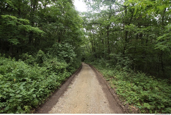 Background Forests