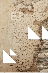 Walls Plaster Damaged