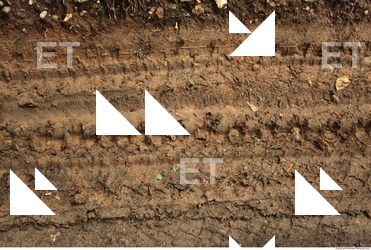 Soil Trace
