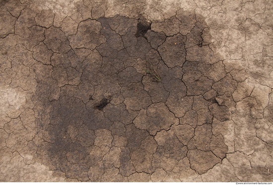 Cracked Soil