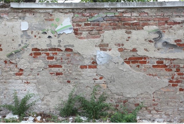 Wall Bricks Plastered