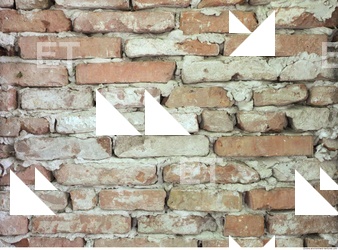 Wall Bricks Old