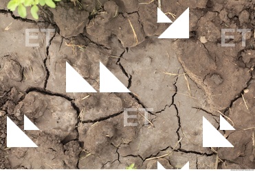 Cracked Soil