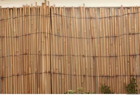 Cane Walls