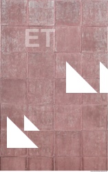 Wall Plaster Painted