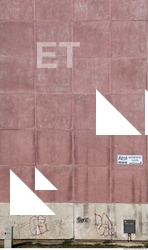 Wall Plaster Painted