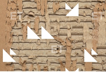 Damaged Cardboard