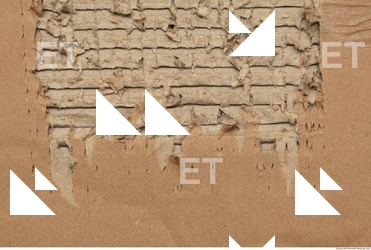Damaged Cardboard
