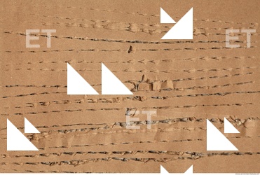 Damaged Cardboard