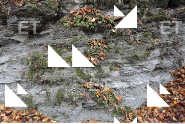 Cliffs Overgrown Rock