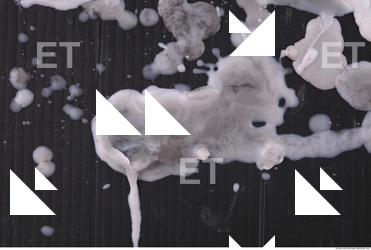 Photo Texture of Wax 0034