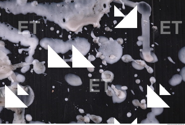 Photo Texture of Wax 0039