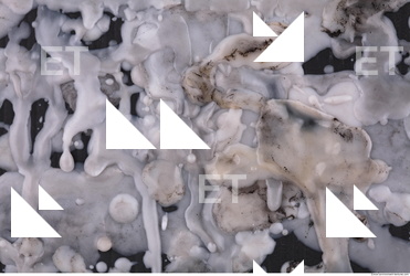 Photo Texture of Wax 0045