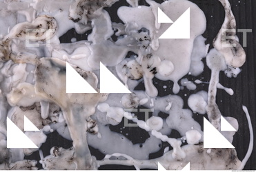 Photo Texture of Wax 0047