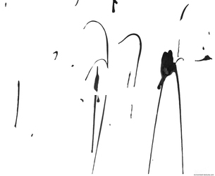 Photo Texture of Splatter 0072