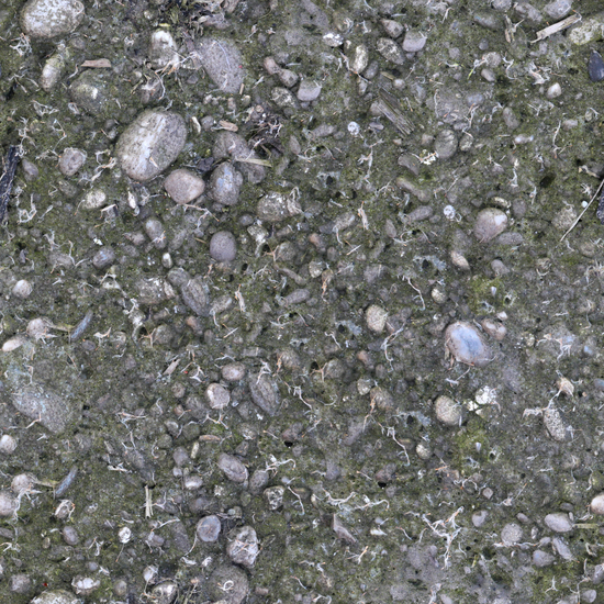 Seamless Concrete