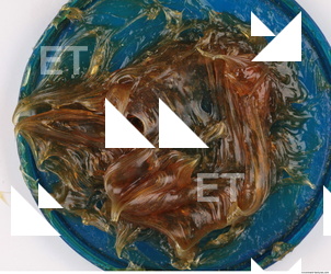 Photo Texture of Grease 0028