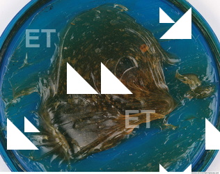 Photo Texture of Grease 0033