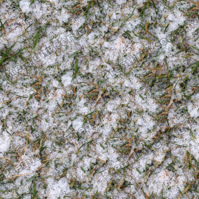 Seamless Grass Frozen