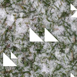 Seamless Grass Frozen