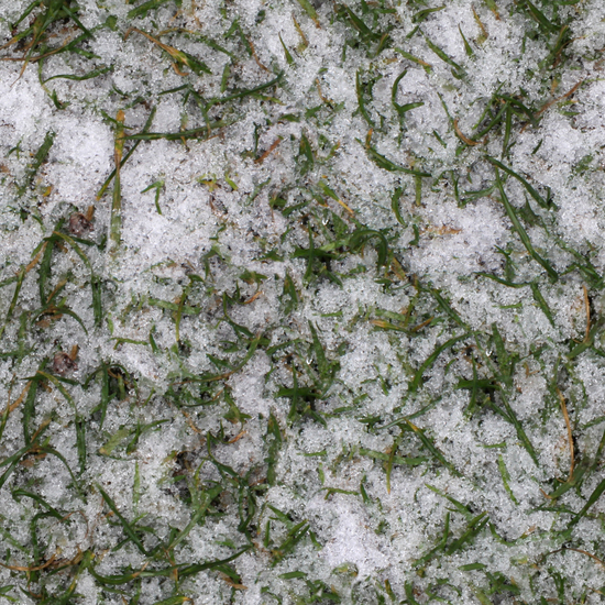 Seamless Grass Frozen