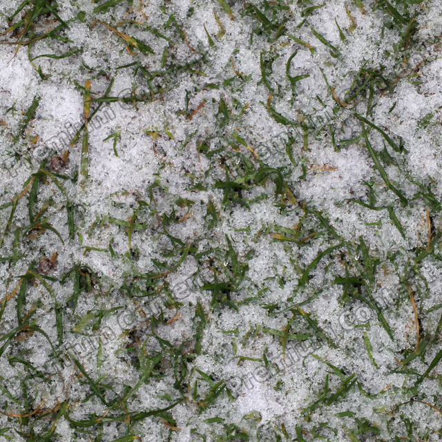 Seamless Grass Frozen