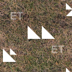Seamless Grass Dead