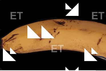 Photo Texture of Banana 0002