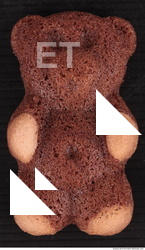 Photo Texture of Biscuits 0001