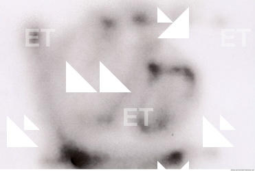 Photo Texture of Splatter