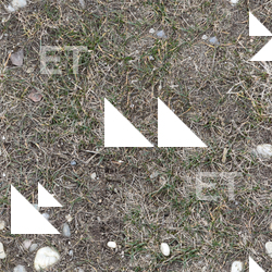 Seamless Grass