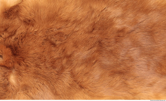 Fur