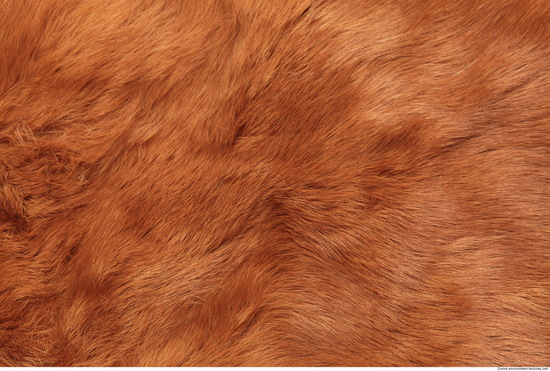 Fur