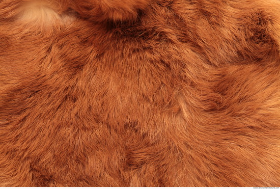 Fur