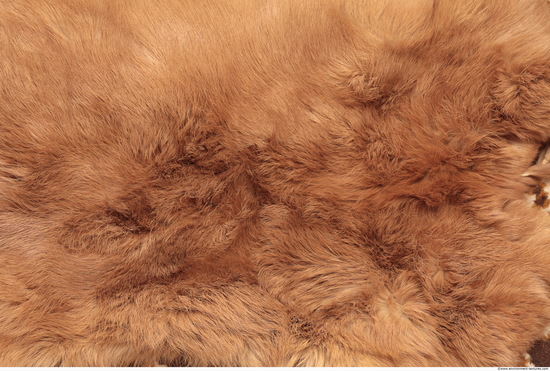 Fur