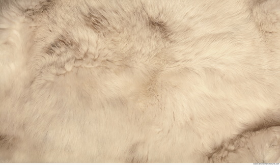 Fur