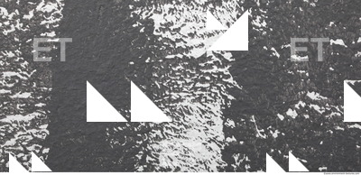 Wall Plaster Painted