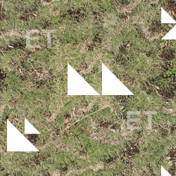 Seamless Grass